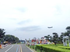 -空港花田景区
