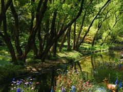 -上海共青森林公园