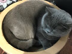 -花与咖啡馆(金星楼店)