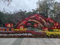 -晓港公园