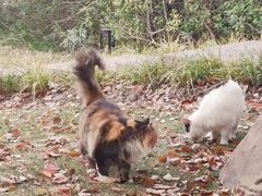 -华东政法大学(松江校区)