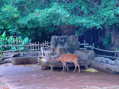 -长鹿旅游休博园