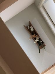 -香秀空间科技抗衰·美容中心
