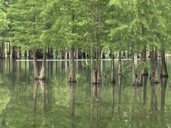 -白鹭湾湿地公园