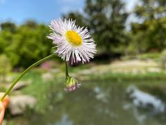 -上海滨江森林公园