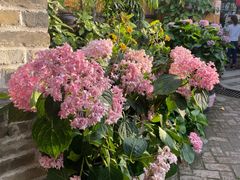 -园林美食城·本土农家菜(杨和镇店)