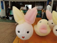 -南宫五洲植物乐园