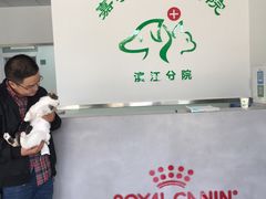 -美美宠物诊疗中心·异宠·骨科(滨江东信分院)