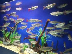 景点-水上乐园·欢乐世界