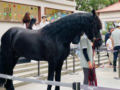 -深圳湾万象城(南山店)