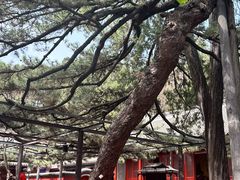 -红螺寺
