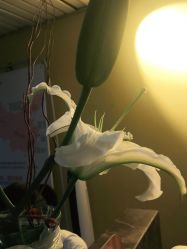 -FineYoga梵音瑜伽·普拉提