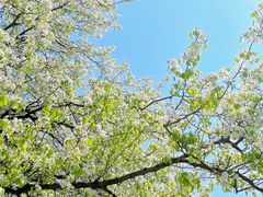 -东钱湖旅游度假区