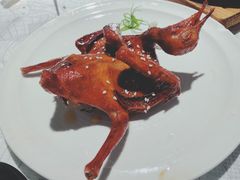-大鸽饭(岗顶店)
