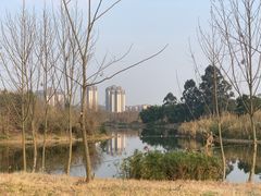 -眉山湿地公园(东坡区)