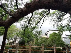 -新安江山水画廊风景区