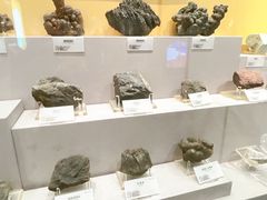-湖南省地质博物馆