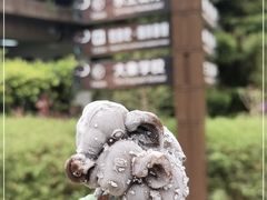 -野象谷景区