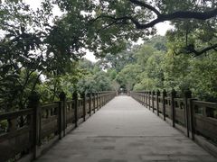 -南山植物园