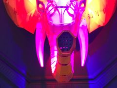 -疯克大象美式烤肉餐厅