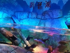 -沈阳海洋探索中心