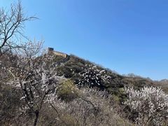 -居庸关长城