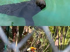 -灵玲国际马戏城