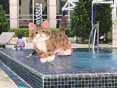 -澳门瑞吉酒店室外泳池