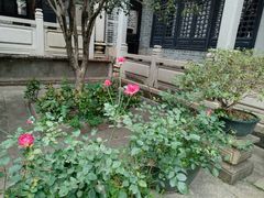 -小洲村