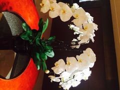 凯悦酒店-杭州君悦酒店