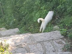 -北京凤凰岭