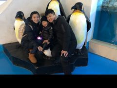 -蓬莱欧乐堡海洋极地世界