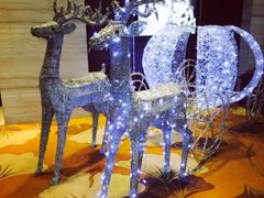 平安夜晚宴-济南富力凯悦酒店