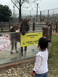 -造物庄园 萌宠纪(苏州湾歌林公园店)