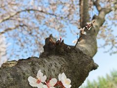 -洨河生态公园