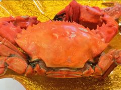 -春华海鲜城(广场西苑店)