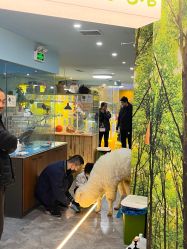 -神奇动物撸宠馆·羊驼·小浣熊·异宠(豫园店)
