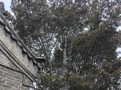 -白塔寺