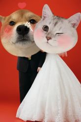 -北遇映画PHOTO GRAPHY STUDIO