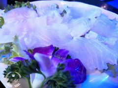 巴沙鱼-狼爱上羊音乐火锅