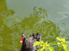 -合肥野生动物园