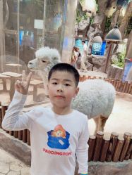 -宝燕乐园(闵行旗舰店)