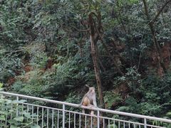 -黔灵山公园