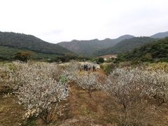 -广州市石门国家森林公园