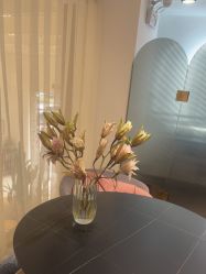 -海菲秀黑钻·SELF SKIN悦己·Tech SPA