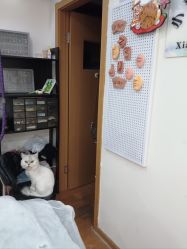 -小部落•刺青•穿孔饰品•海娜纹身