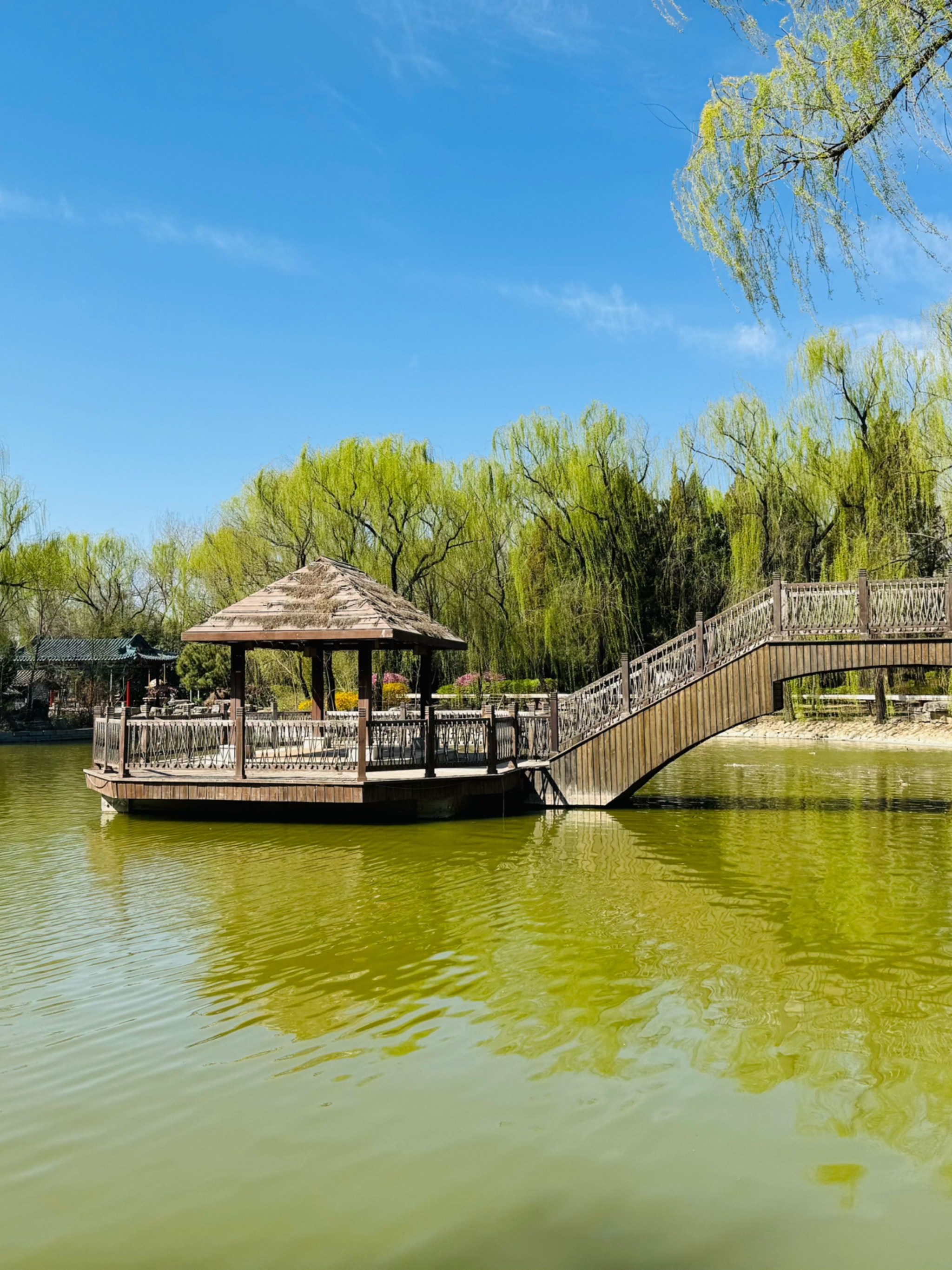 春日遛娃|在这个烧烤公园实现一站式躺平模式