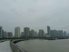 -野狸岛