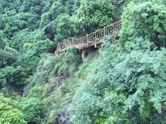 -永泰中国云顶