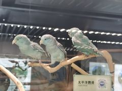 -天津市规划展览馆